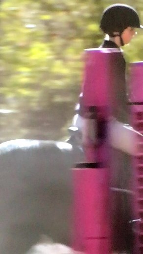 Flicka: La Película de Caballos y Amistad