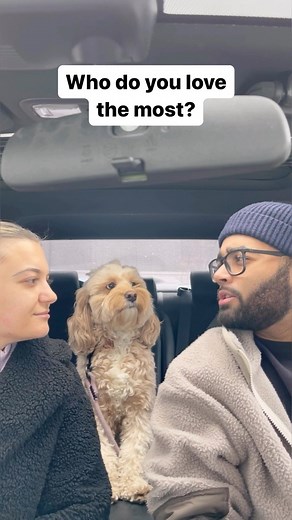 Luna The Mini Cockapoo on Instagram: "That was a little too quick… 😳 #dogs #puppylove #cockapoo"