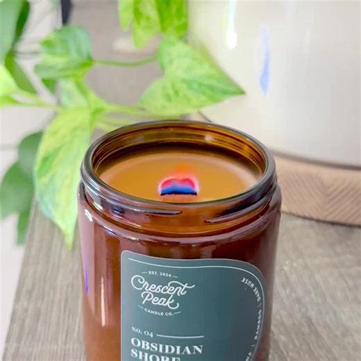 Monstera & Moss Scented Soy Candle: Hand-poured Woodwick, Cozy Decor - Etsy