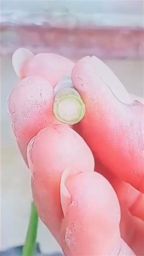Connect the two lower stems #agriculture #farming #farmingLite #shots