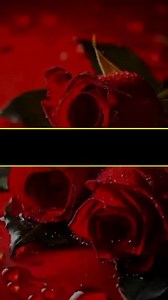 Shaban Javed Shaikh on Reels