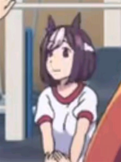 Uma Musume Pretty Derby Fan Shipping Explained