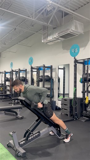 Chest Supported DB(2) Row