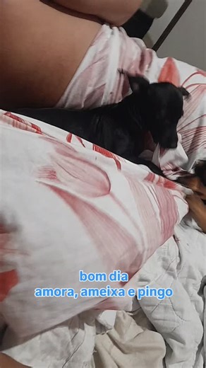 Edna Licia on Instagram: "#reelsinstagram #reelsfacebook #reelsviral #reelsvideo #reelsbomdia amora, ameixa e pingo os bagunceiros"
