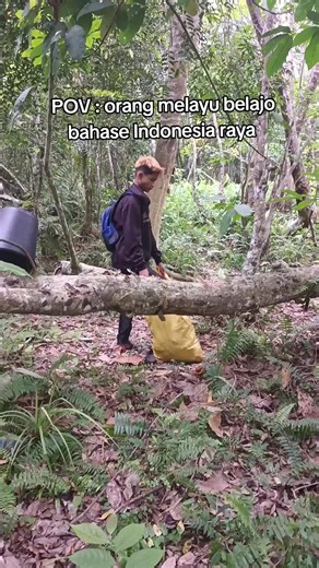 Melayu Learns Indonesian Language: A Cultural Journey