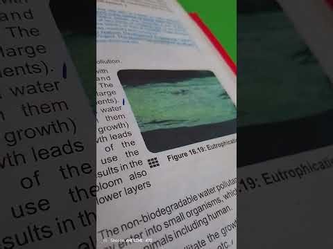 Effects of water pollution (biology 10th class)