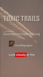 Toxic Trails