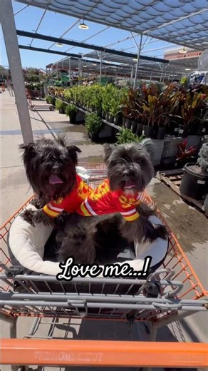 Too cute not to love…. 🥰🐾