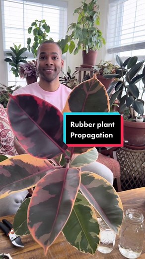 TikTok - Make Your Day