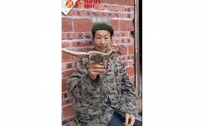 480K views · 31K reactions | Yu Mubing, a 72-year-old grandpa, creates lifelike animals woven from palm leaves. Yu, a farmer, learned this craft in his early teens. Now it is hobby when he has time to spare. #StoryofChina | Xi's Moments | Facebook