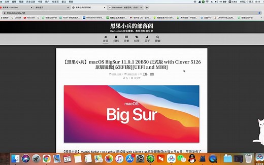 WIN10 黑苹果双硬盘双系统 DSDT编译电池