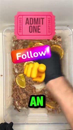 Day 4 Bowl of Trouble . Get your OG ticket guys 🎟️ #bowl #community #day1 #experiment