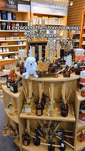 Our very last Webkinz pup is ready to be adopted! This sweet little friend has been waiting for the right person to bring home all the cozy, nostalgic joy that only a classic plush buddy can bring. 💛🐶 If you love a touch of childhood wonder — or know someone who does — come meet this adorable cutie before they trot off to their new home. It’s a small, heartwarming moment that reminds us why shopping local feels so special. 💕🏡 #JRsHallmark #ShopLocal #SmallTownCharm #Webkinz #AdoptALittleFrie