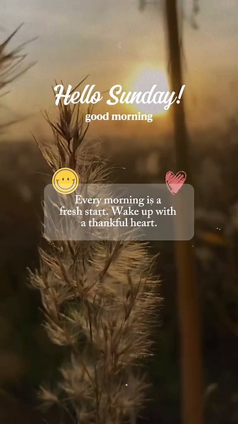 Morning Greetings for a Beautiful Sunday