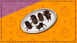 I made Cockroach Boston cream donuts, one Pinterest's top Halloween recipes