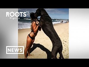 Police to Investigate Lady over alleged bestiality