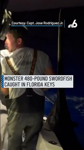 Monster 480-pound swordfish caught in Florida Keys