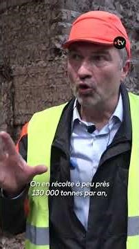 Une cartonnerie se distingue avec sa petite boîte innovante