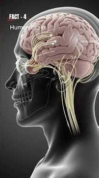 Did You Know? 10 Medical Facts About the Human Body #didyouknow #mindblowingfacts #sciencefacts