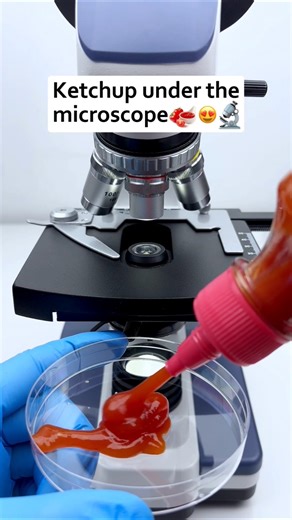 केचअप under the microscope 😱🔬 #shorts #facts #microscope #ketchup #amazingzoom #science #zoom #new