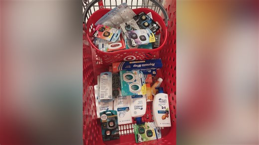 Ten suspects arrested for organized retail crime at Stonestown mall in SF