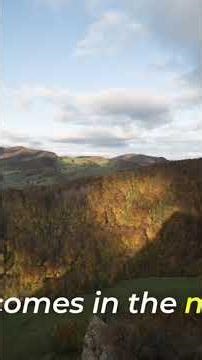 Bible Verses About God’s Favor You Can Pray For #scripturestudy #biblejournal