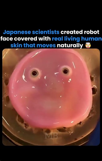 Real Living human robot