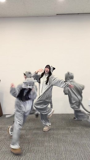 駆け回るネコちゃん達！🐈‍⬛💨