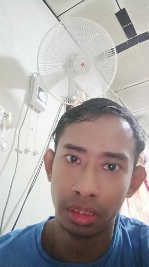 Oscillating Fan Features and Setup Guide