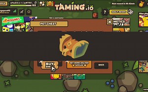 taming.io 开箱！！！！