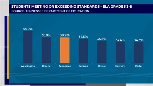 How do all area school systems’ TCAP scores stack up?