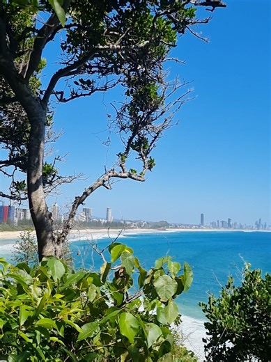 Tallebudgera Creek and Burleigh Headland Loop, New Years Eve stroll. #hike #queensland #australia #goldcoast