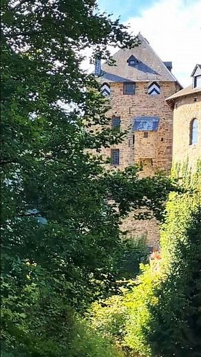 Peaceful Nature Walk in Belgium | Vallée de la Warche | Cinematic Short