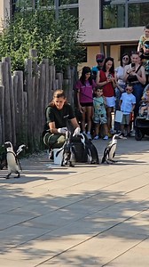 80K views · 1.7K reactions | 朗 Már csak egy nap és jöhet a hétvége....