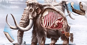 Como era a anatomia de um mamute?