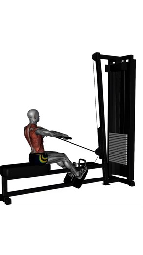 seated normal grip row machine.mp4