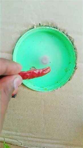 red chilli cutting project