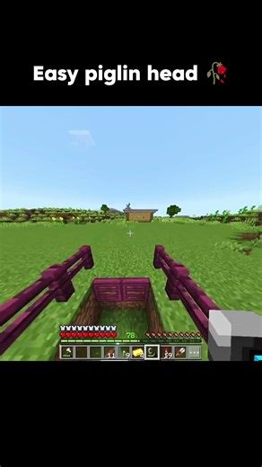 Minecraft easiest piglin head moments