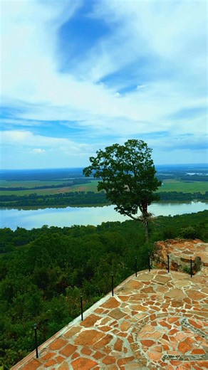 1.2K views · 46 reactions | The Nest at Petit Jean Mountain with it’s amazing views!  Book your wedding here with me as your photographer! ❤️ #HollyDaniellePhotography #VisitArkansas #Arkansas #travelarkansas #Ozarks #petitjean #petitjeanstatepark #wedding #weddingphotography | Holly Danielle Photography | Facebook