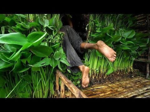 🌊 Unbelievable! Survival Girl Creates Secret Shelter Next to Hidden River