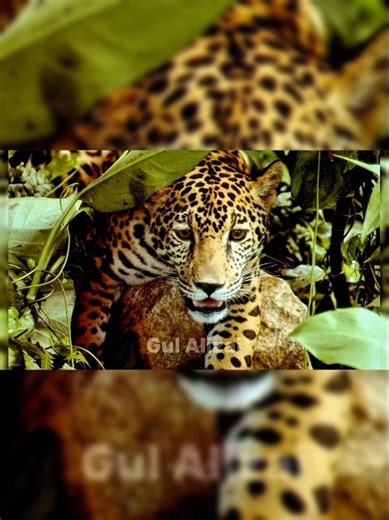 5 خطرناک‌ترین مکان‌های زمین که نباید ببینید/پارت 3/#shorts #short #shortvideo #scaryplaces #عجائب