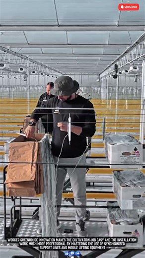Worker Greenhouse Innovation Makes Farming Job Easy Work