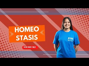 Homeostasis | VCE Biology 1&2