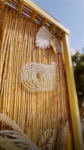 AAIB lit up the North Coast this summer! ✨☀️ Unforgettable activities, endless memories ..... a summer to remember! With AAIB it’s always different. #AAIB #summer2025 | Arab African International Bank