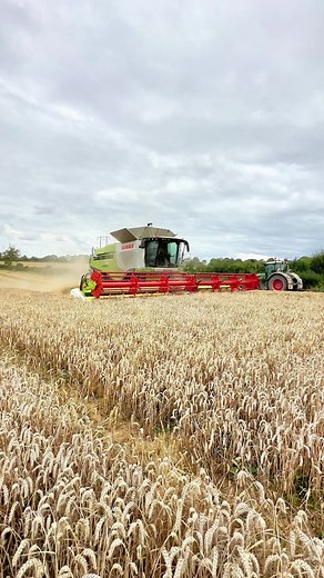 42K views · 623 reactions | Willis in the CLAAS 770 Lexion harvesting feed Wheat #harvest2023 #wheatharvest #britishfarming | Pro Horizon Farming Content | Facebook
