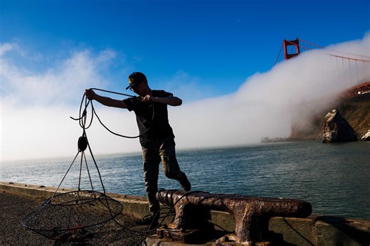Scientists are turning fog into water. Here’s what it could mean for California