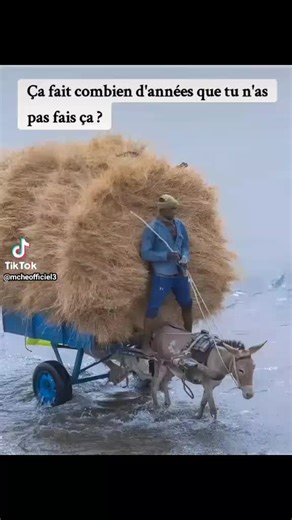 Lil zed 2024 sur TikTok