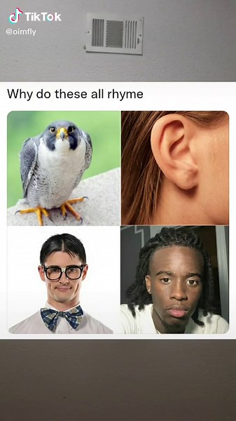 Innovative Green Screen Sticker Technology Explained