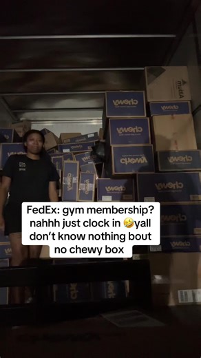 FedEx Truck Gone: The Real Job Struggles