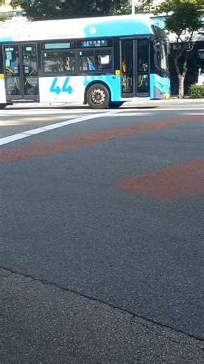 부산 버스 111-1번, 44번, 80번